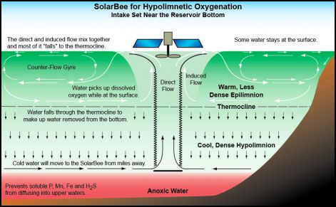 hypo-solarbee.jpg